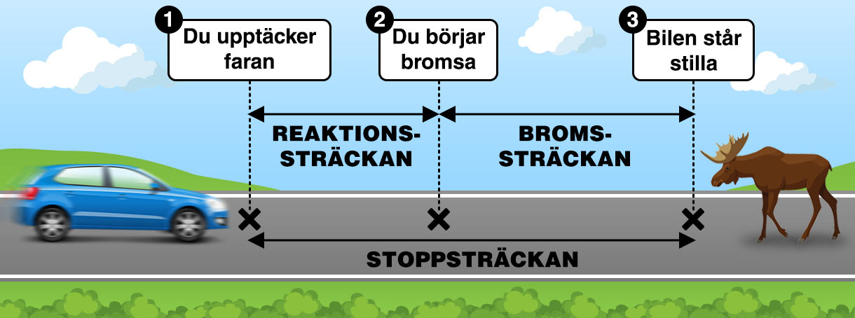 Illustration som visar vad reaktionssträckan, bromssträckan och stoppsträckan är.